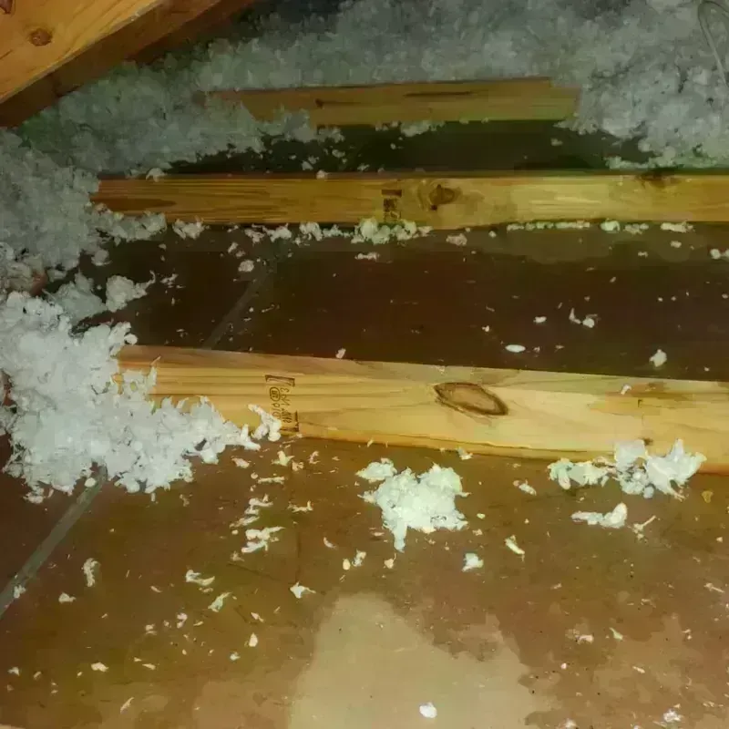 Attic Water Damage in Ciales Municipio, PR